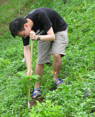A slope greening research project in the Climate Banker programme run by Dr Hau for HSBC staff.